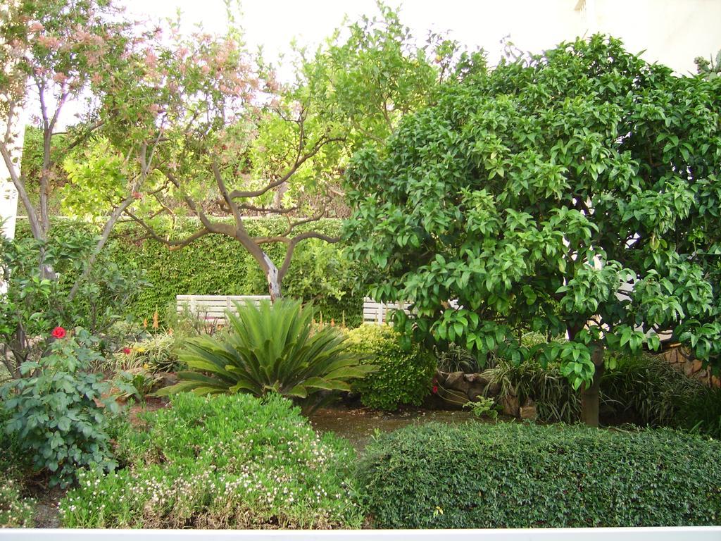 Residence La Carruba Diano Marina Dış mekan fotoğraf