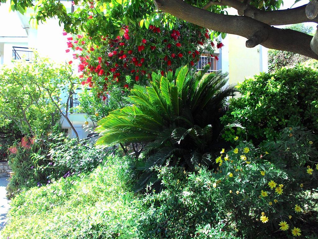 Residence La Carruba Diano Marina Dış mekan fotoğraf