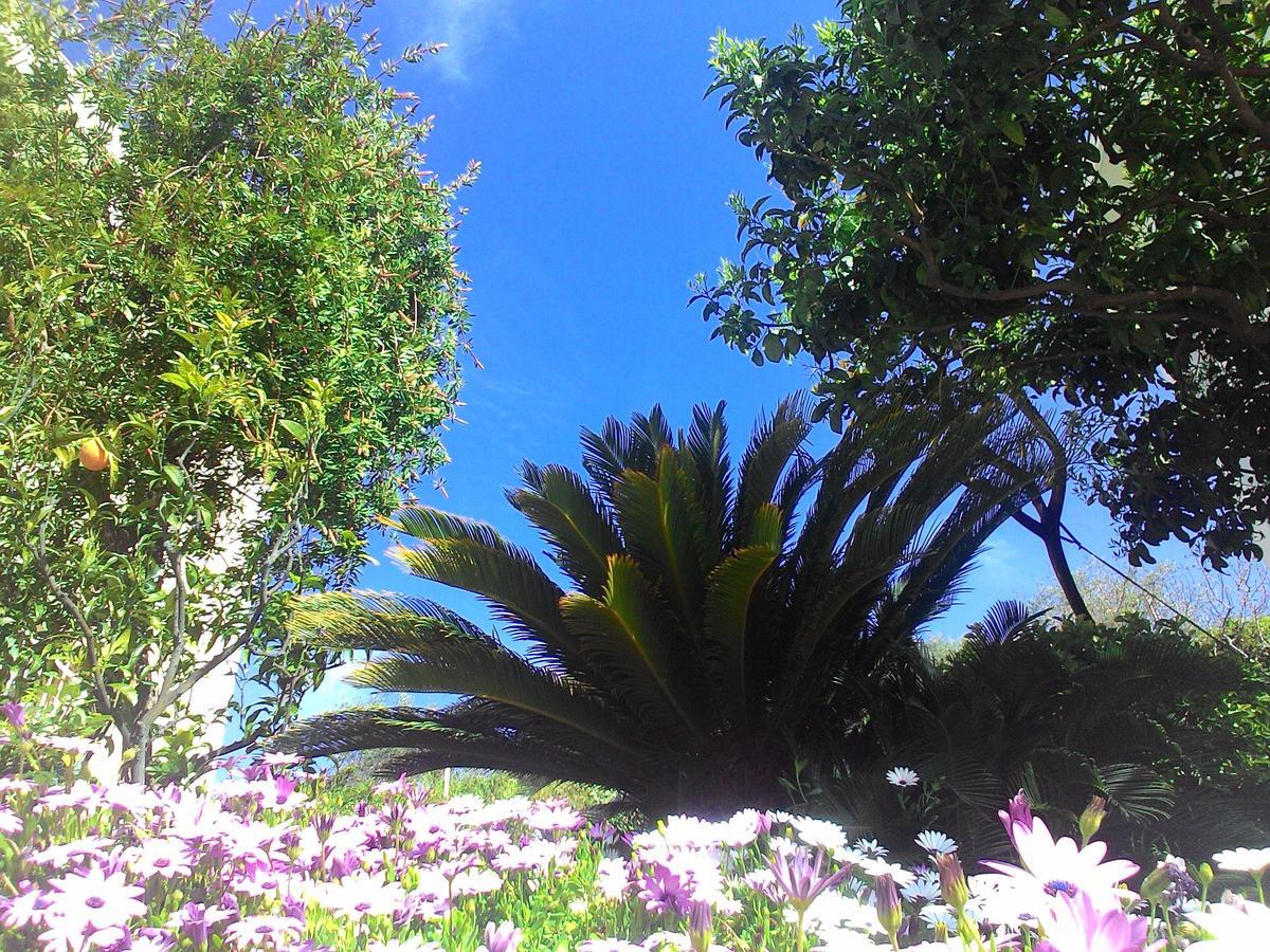 Residence La Carruba Diano Marina Dış mekan fotoğraf